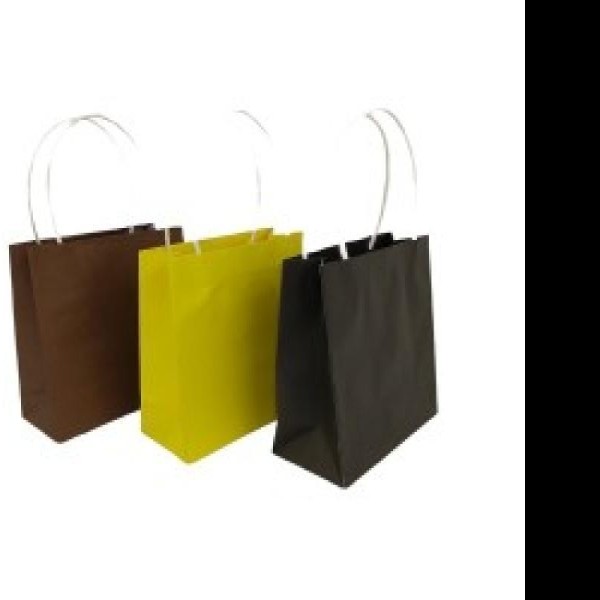 BOLSA BOUTIQUE ITAL. VMODELOS 20X11.40 GOSTECH PZA